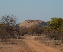 Limpopo Hunting Area